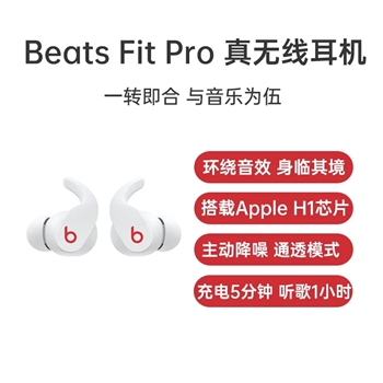 Beats Fit Pro 真无线耳机